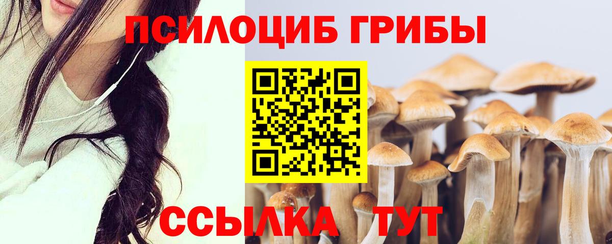 Мытищи  где купить наркотик  Галлюциногенные грибы GOLDEN TEACHER  Вход с VPN  Галлюциногенные грибы Cubensis 